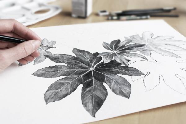 drawing